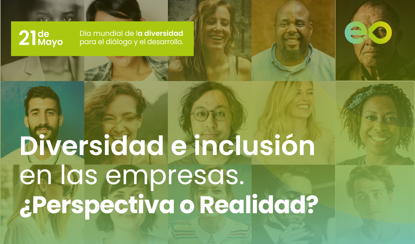 Diversidad e inclusión en las organizaciones